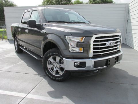 Magnetic Metallic Ford F150 XLT SuperCrew 4x4.  Click to enlarge.