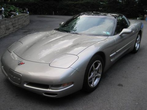 Quicksilver Metallic Chevrolet Corvette Coupe.  Click to enlarge.