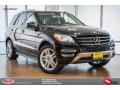 2015 ML 350 #1 2015 ML 350 #1