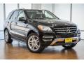 2015 ML 350 #12 2015 ML 350 #12