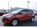 2016 Escape S #3 2016 Escape S #3