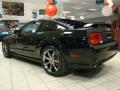 2009 Mustang Saleen H302 Dark Horse Coupe #5
