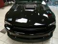 2009 Mustang Saleen H302 Dark Horse Coupe #10