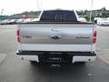 2013 F150 Platinum SuperCrew 4x4 #7