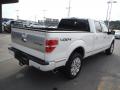 2013 F150 Platinum SuperCrew 4x4 #10