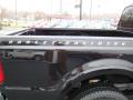 2009 F250 Super Duty Harley Davidson Crew Cab 4x4 #18 2009 F250 Super Duty Harley Davidson Crew Cab 4x4 #18