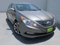 2014 Sonata SE #1