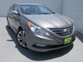 2014 Sonata SE #2