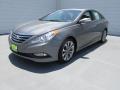 2014 Sonata SE #4