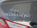 2014 Sonata SE #14