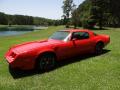  1980 Pontiac Firebird Carousel Red #4