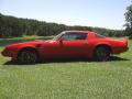 1980 Firebird Trans Am #5