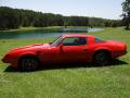 1980 Firebird Trans Am #6