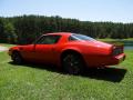 1980 Firebird Trans Am #7