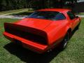 1980 Firebird Trans Am #11