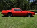 1980 Firebird Trans Am #12