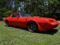 1980 Firebird Trans Am #13