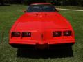1980 Firebird Trans Am #15