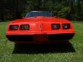 1980 Firebird Trans Am #16
