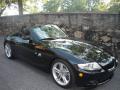 2006 M Roadster #1