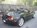 2006 M Roadster #2