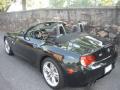 2006 M Roadster #4