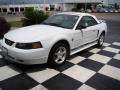 2004 Mustang V6 Convertible #1