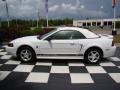 2004 Mustang V6 Convertible #2