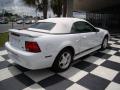 2004 Mustang V6 Convertible #5