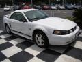 2004 Mustang V6 Convertible #7