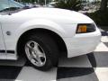 2004 Mustang V6 Convertible #20