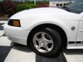 2004 Mustang V6 Convertible #21