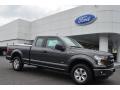  2015 Ford F150 Magnetic Metallic #1