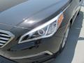 2015 Sonata Eco #9 2015 Sonata Eco #9
