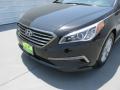 2015 Sonata Eco #10 2015 Sonata Eco #10