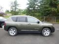  2016 Jeep Compass ECO Green Pearl #10