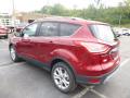 2016 Escape Titanium 4WD #5