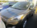 2015 Escape Titanium #2