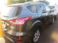 2015 Escape Titanium #6
