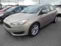 2015 Focus SE Hatchback #1