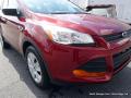 2016 Escape S #33 2016 Escape S #33