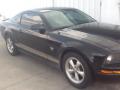 2009 Mustang V6 Premium Coupe #2