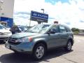 2010 CR-V LX AWD #1 2010 CR-V LX AWD #1