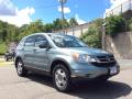 2010 CR-V LX AWD #3 2010 CR-V LX AWD #3