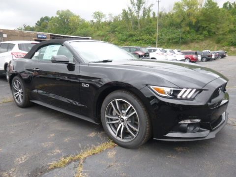 Black Ford Mustang GT Premium Convertible. Click to enlarge. Black Ford Mustang GT Premium Convertible. Click to enlarge.