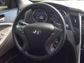 2014 Sonata GLS #17