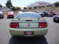 2005 Mustang V6 Deluxe Coupe #6