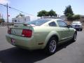 2005 Mustang V6 Deluxe Coupe #7