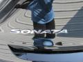 2016 Sonata Hybrid Limited #14