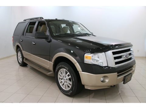 Tuxedo Black Metallic Ford Expedition XLT 4x4.  Click to enlarge.